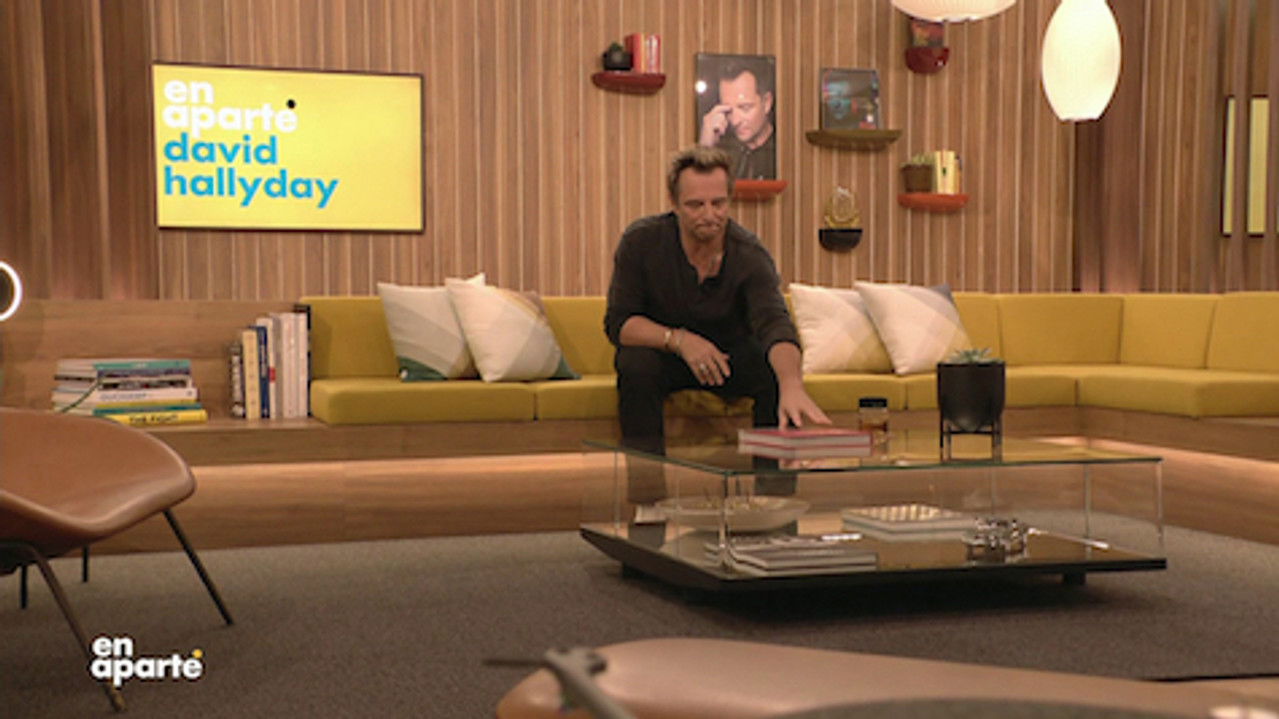 En aparté — David Hallyday