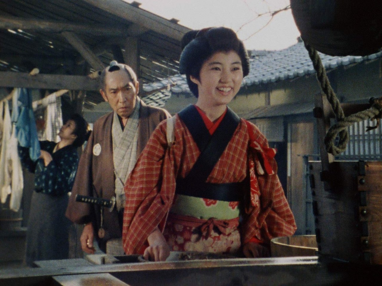 Hissatsu Shigotonin - Season 7 Episode 11 : Episode 11