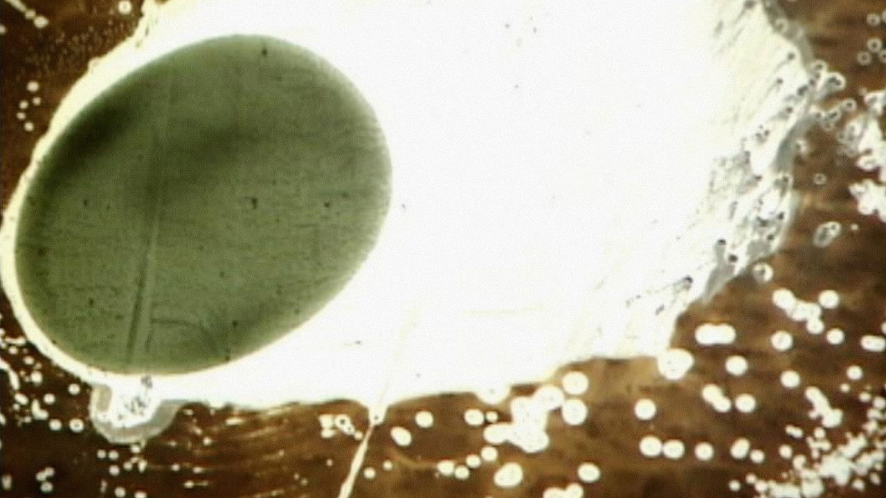 Mos përzini backdrop