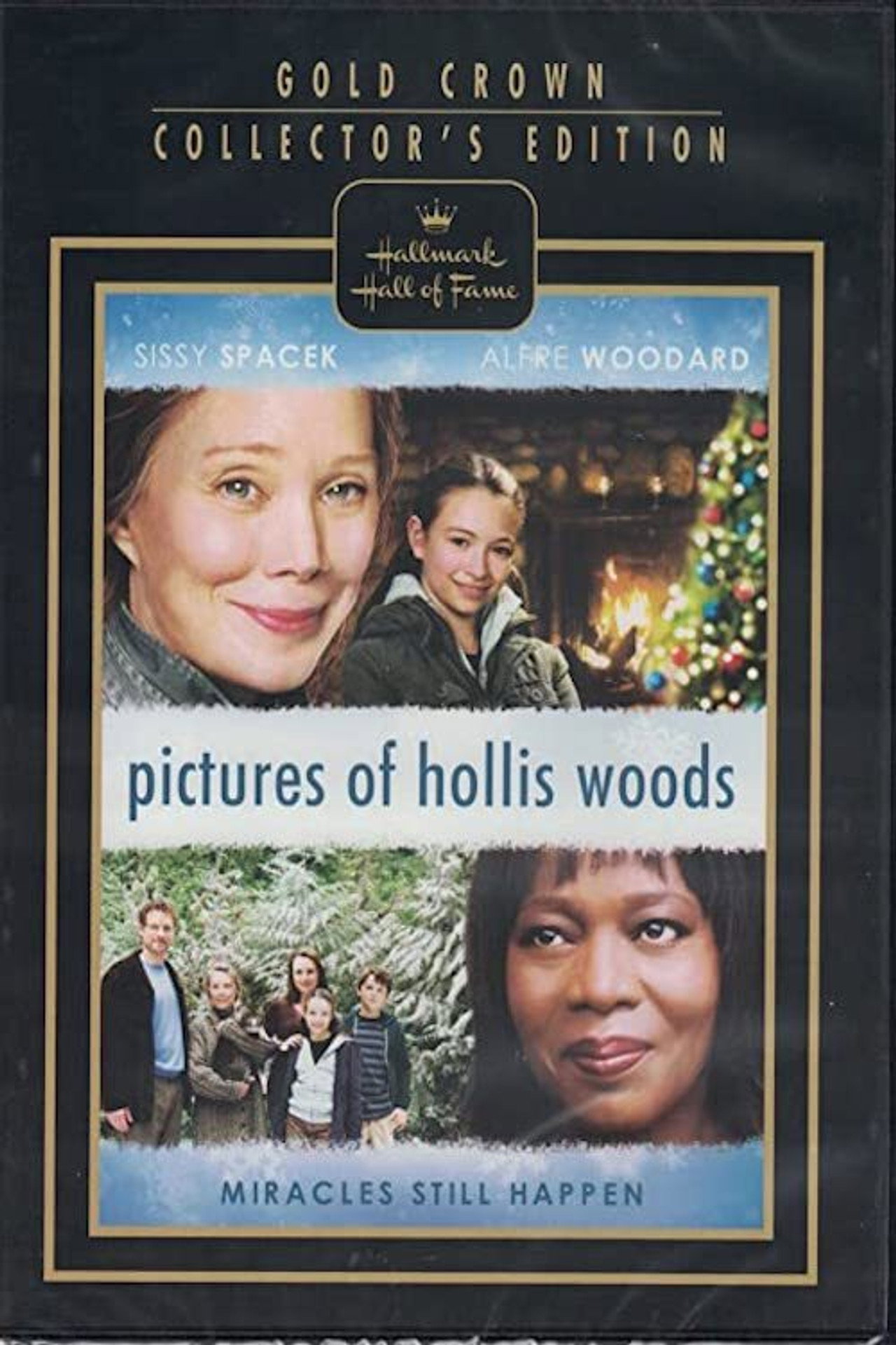 Hollis Woods képei – plakát 6