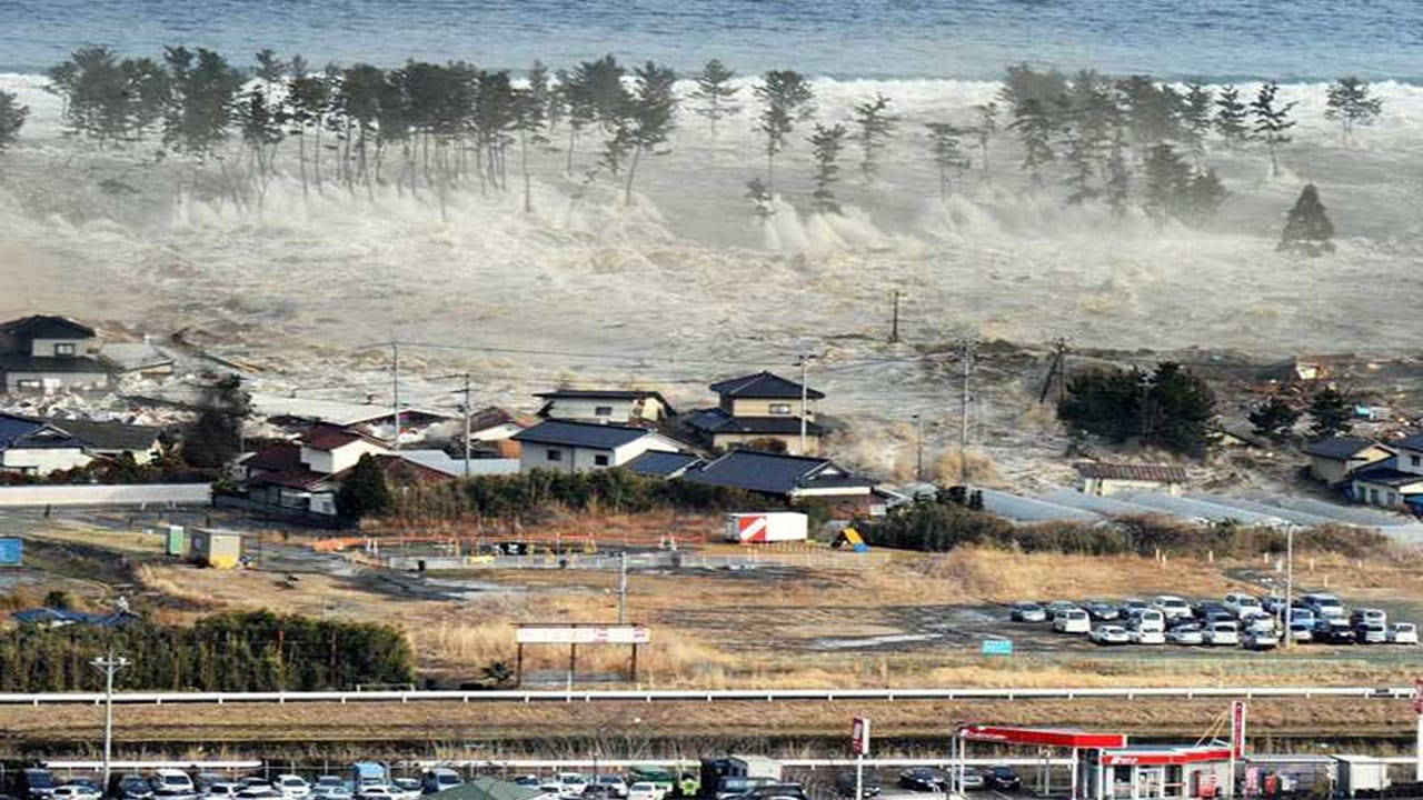 Witness: Disaster in Japan background