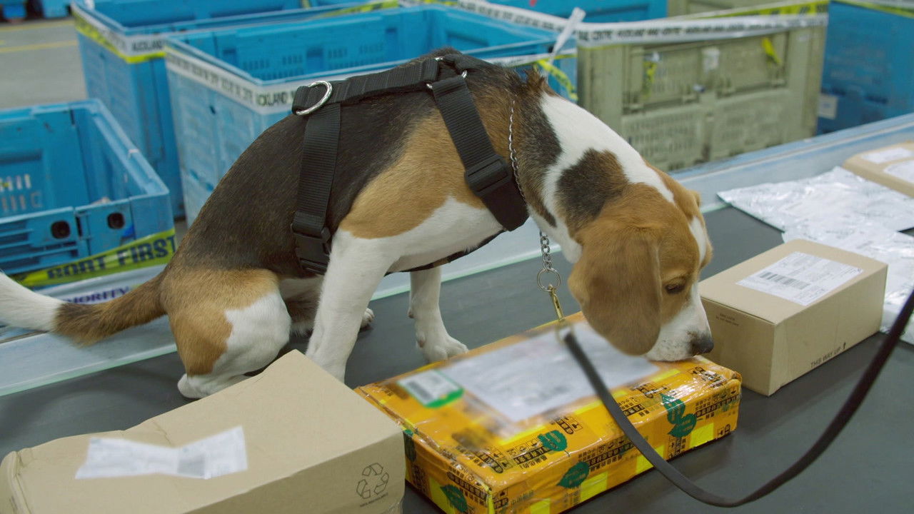 Dog Squad — Épisode 7