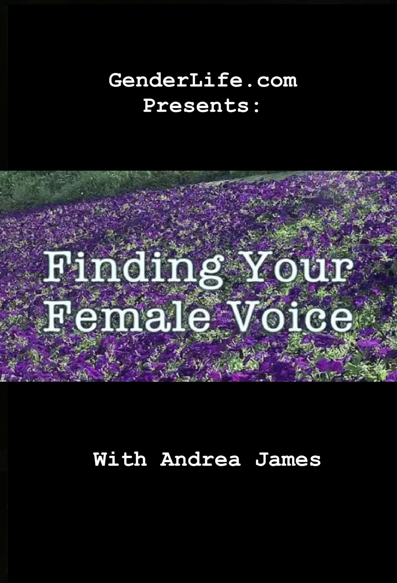 Finding Your Female Voice Backdrop
