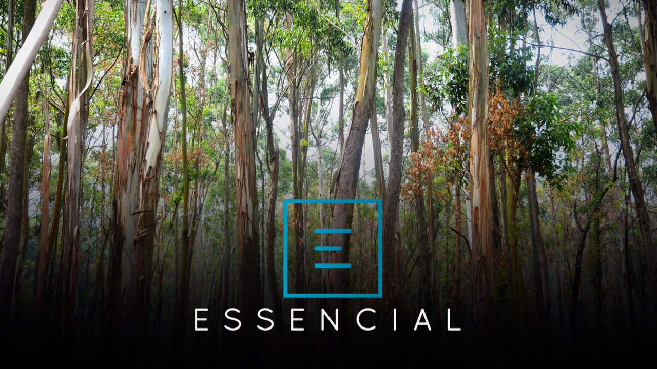 Essential - Season 1 Episode 5 : Incêndios