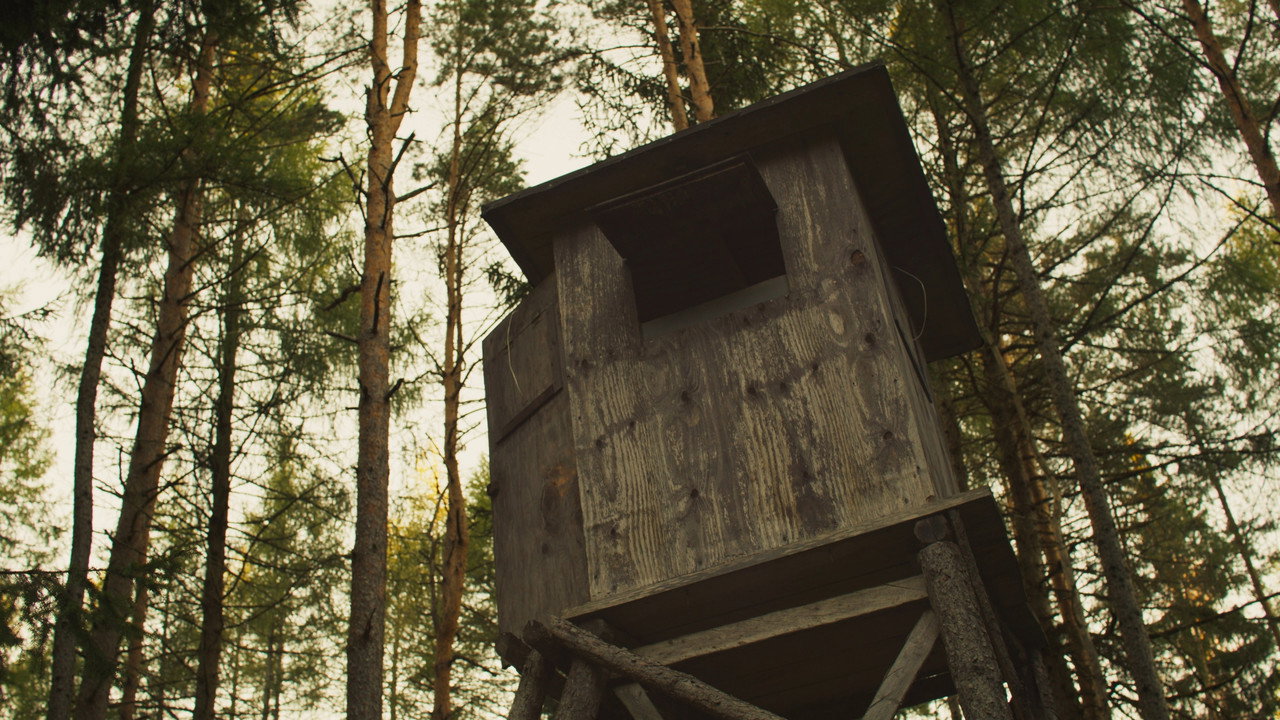 The Hunting Blind still 2