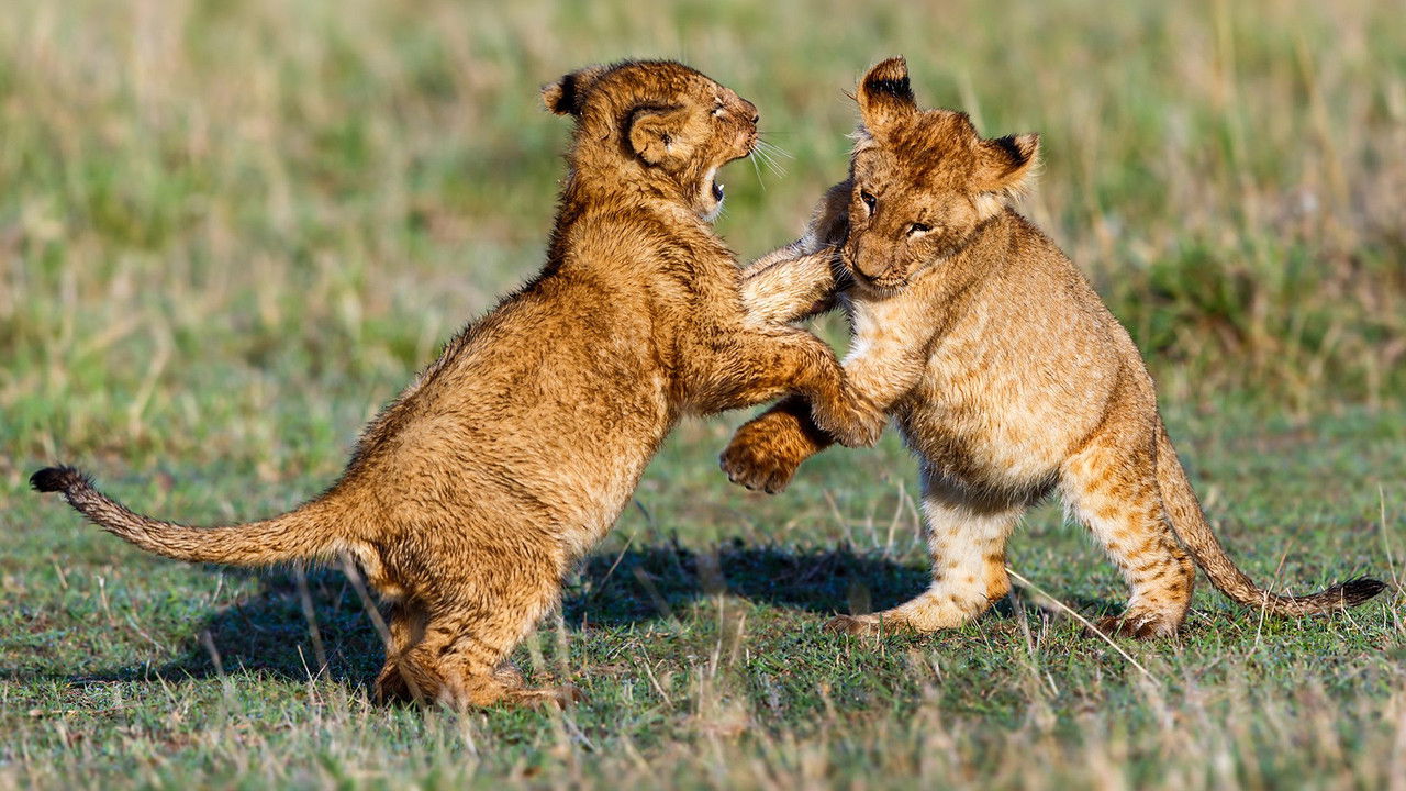 Mindful Earth — Épisode 2