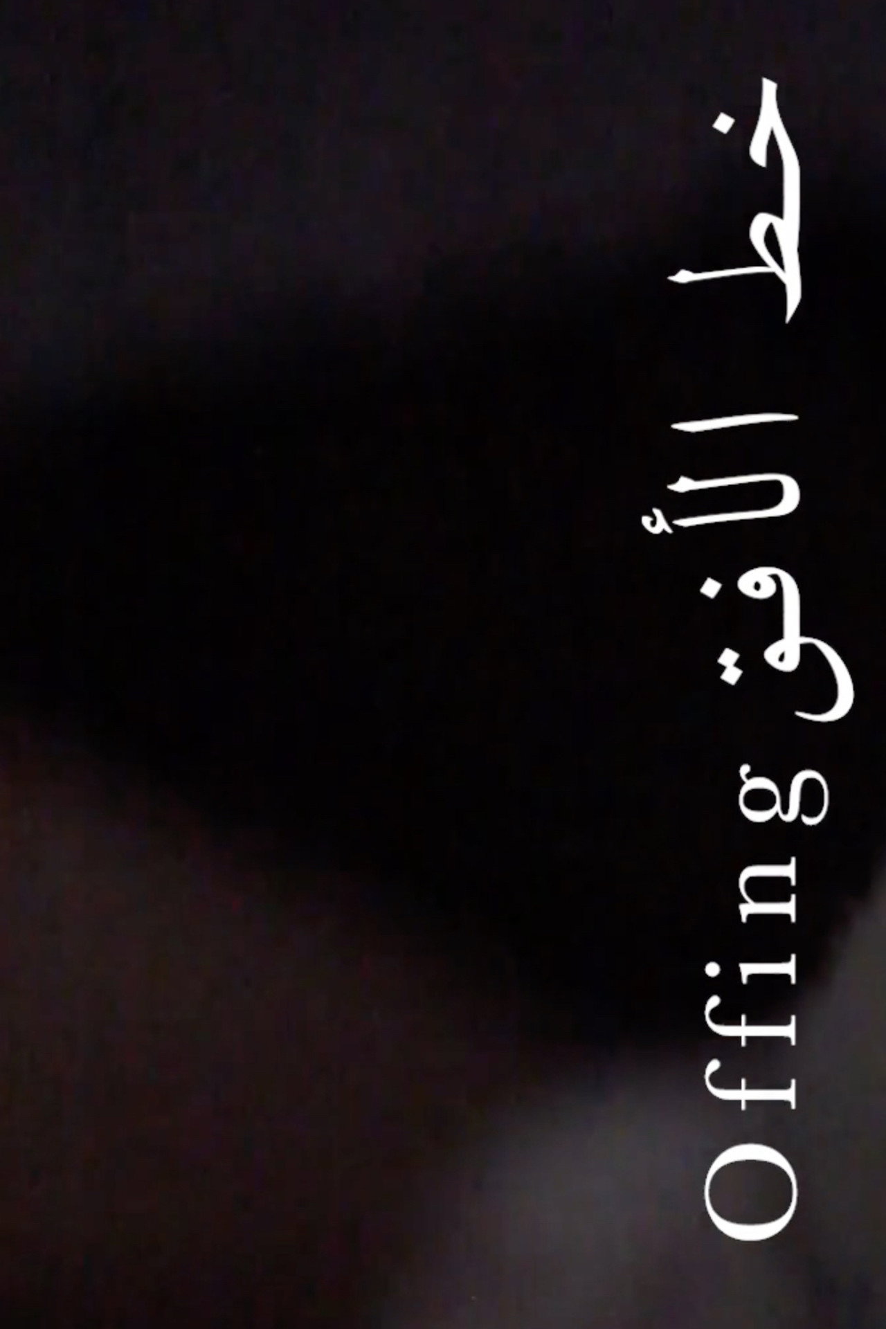 خط الأفق