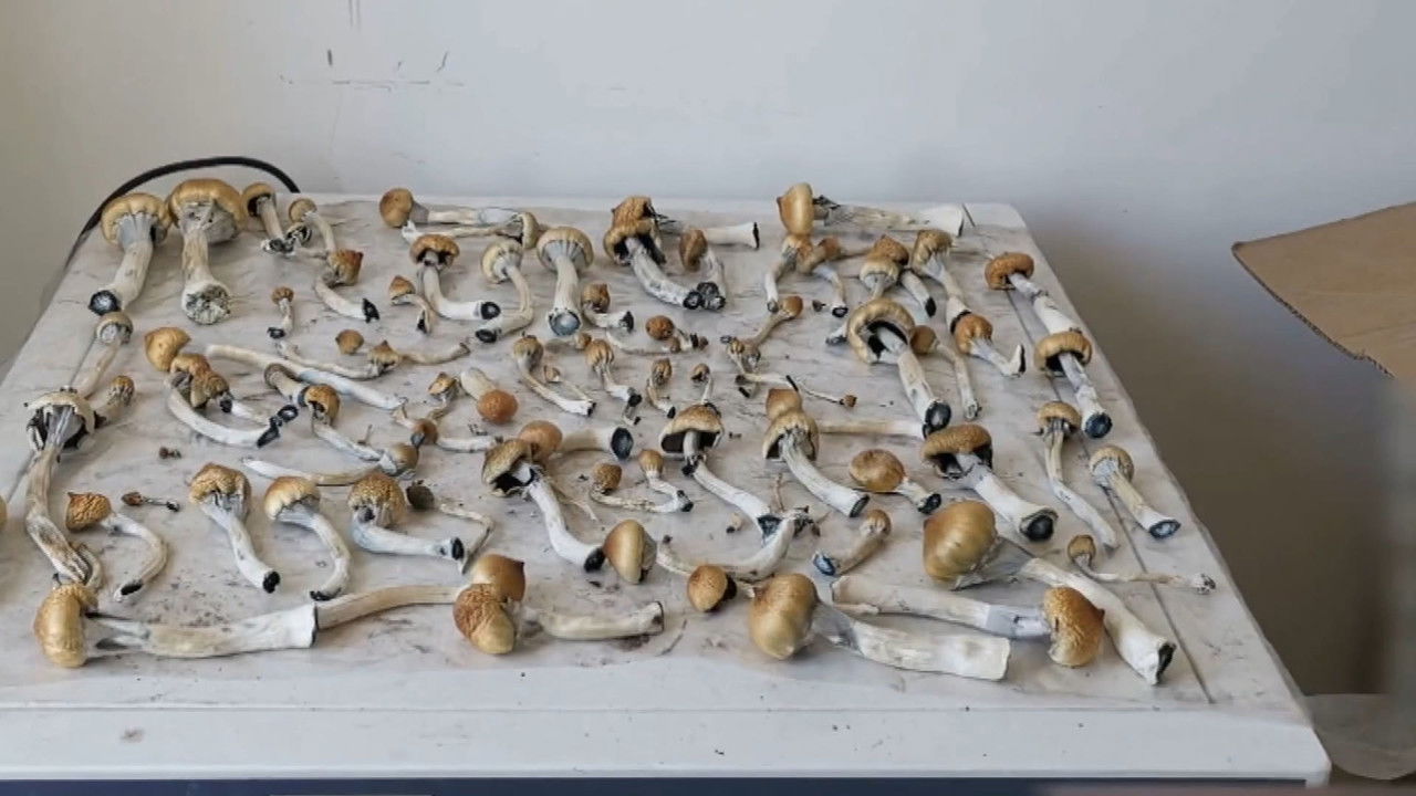 传奇故事 — Épisode 268