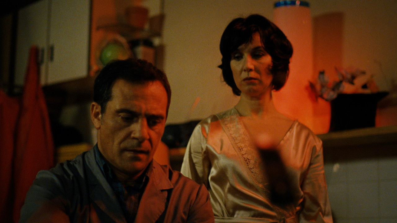 Forget Everything I Told You trailer