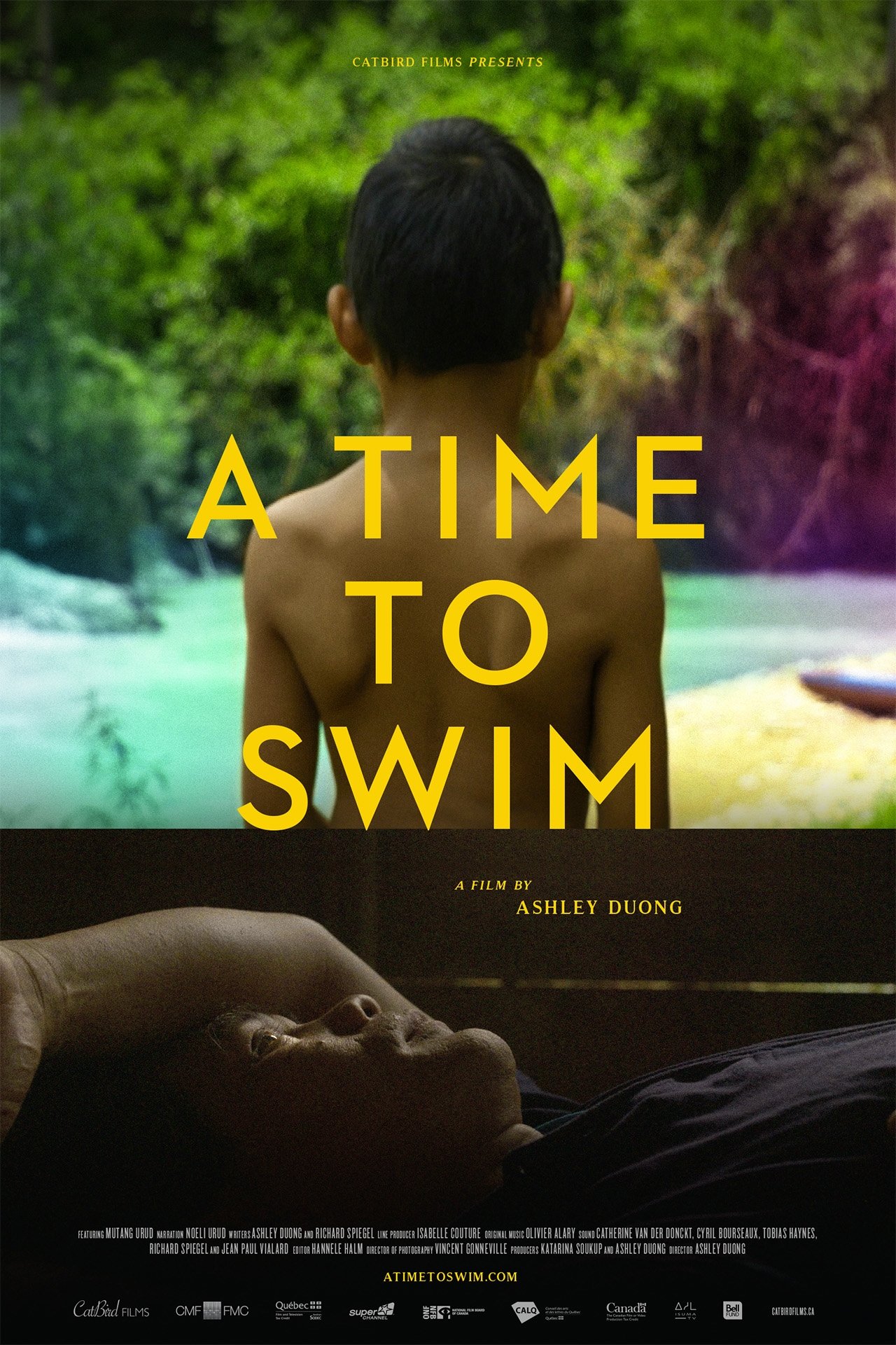 A Time to Swim A Time to Swim