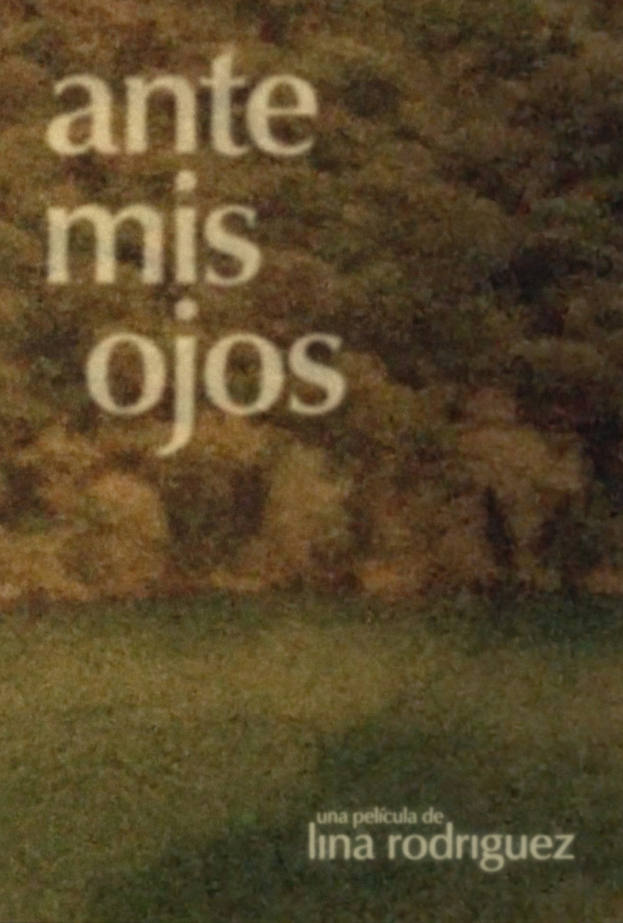 Ante mis ojos filmaffisch