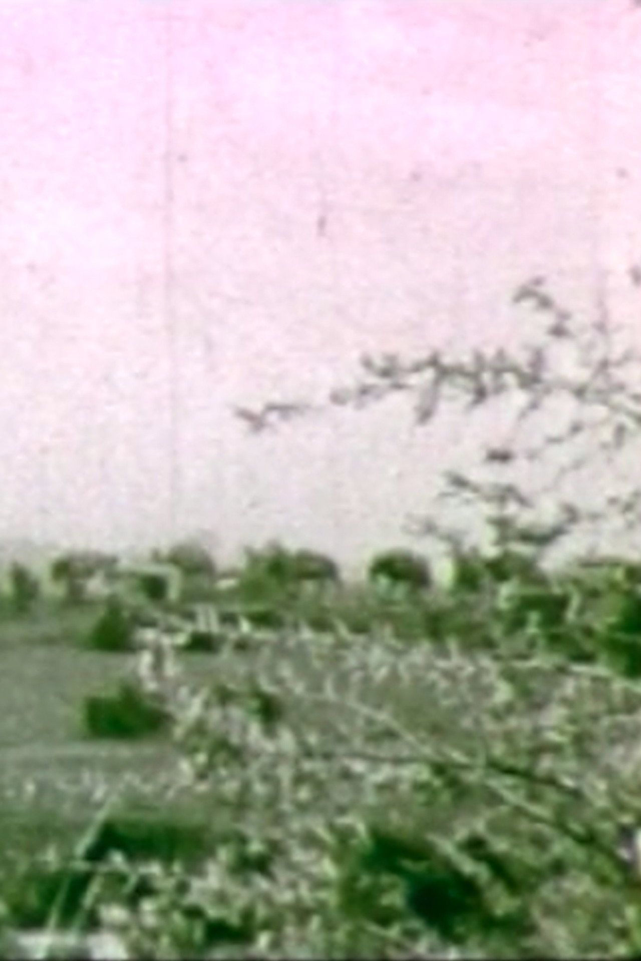 Impressioni a distanza filmaffisch