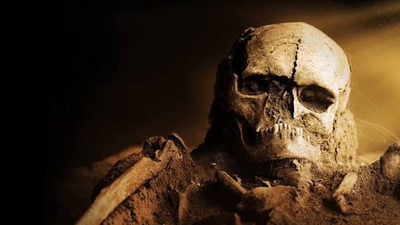 Secrets in the Sand — still 3