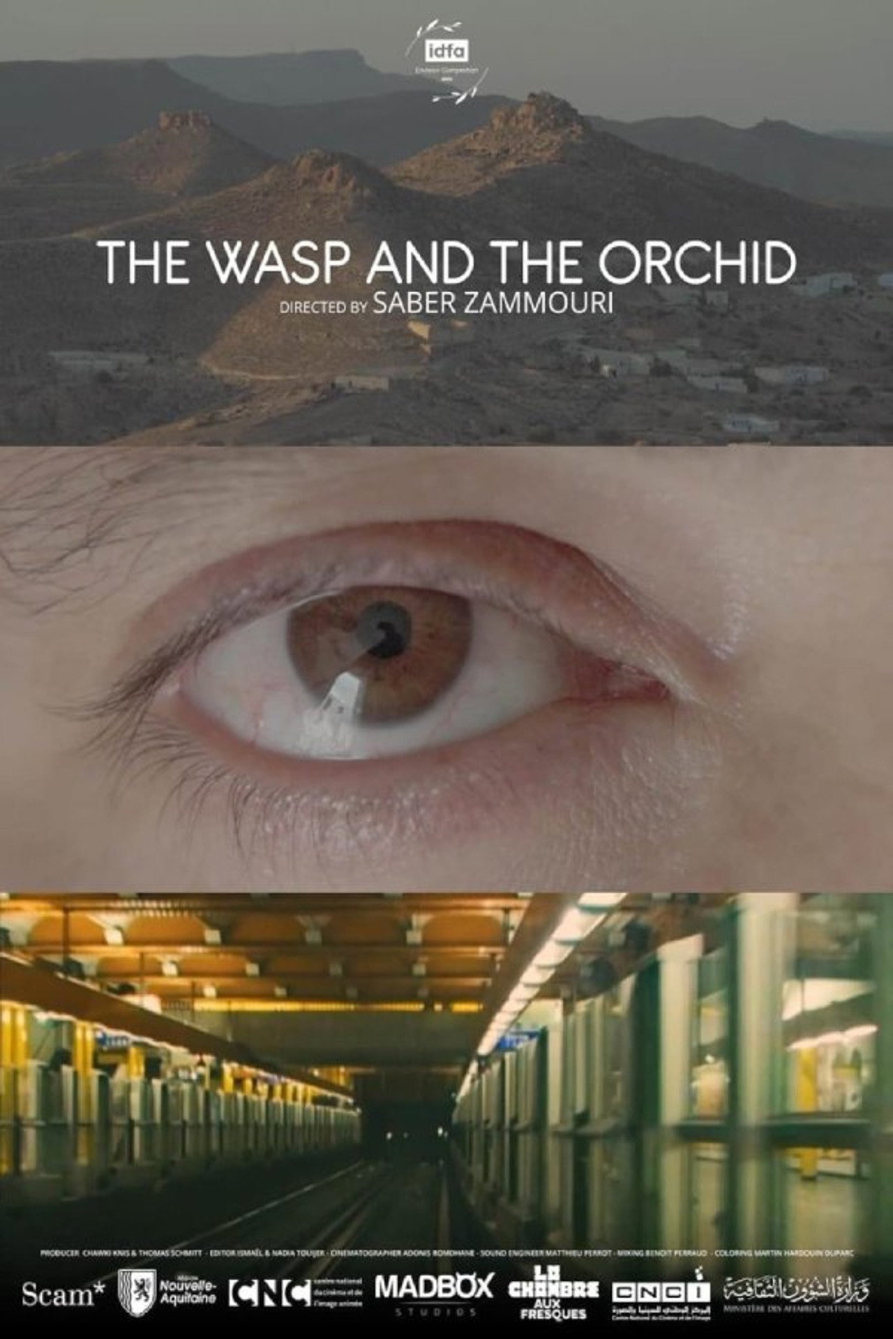 La guêpe et l’orchidée