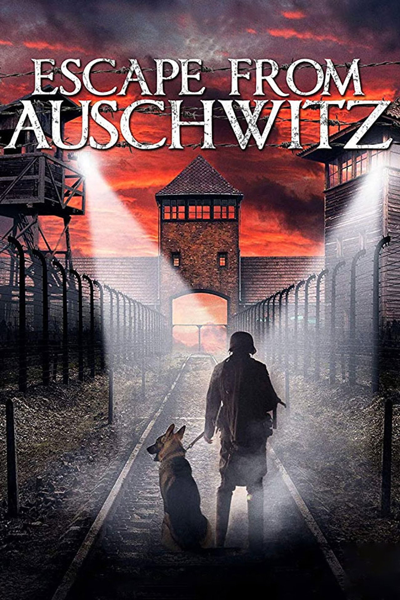The Escape from Auschwitz filmaffisch