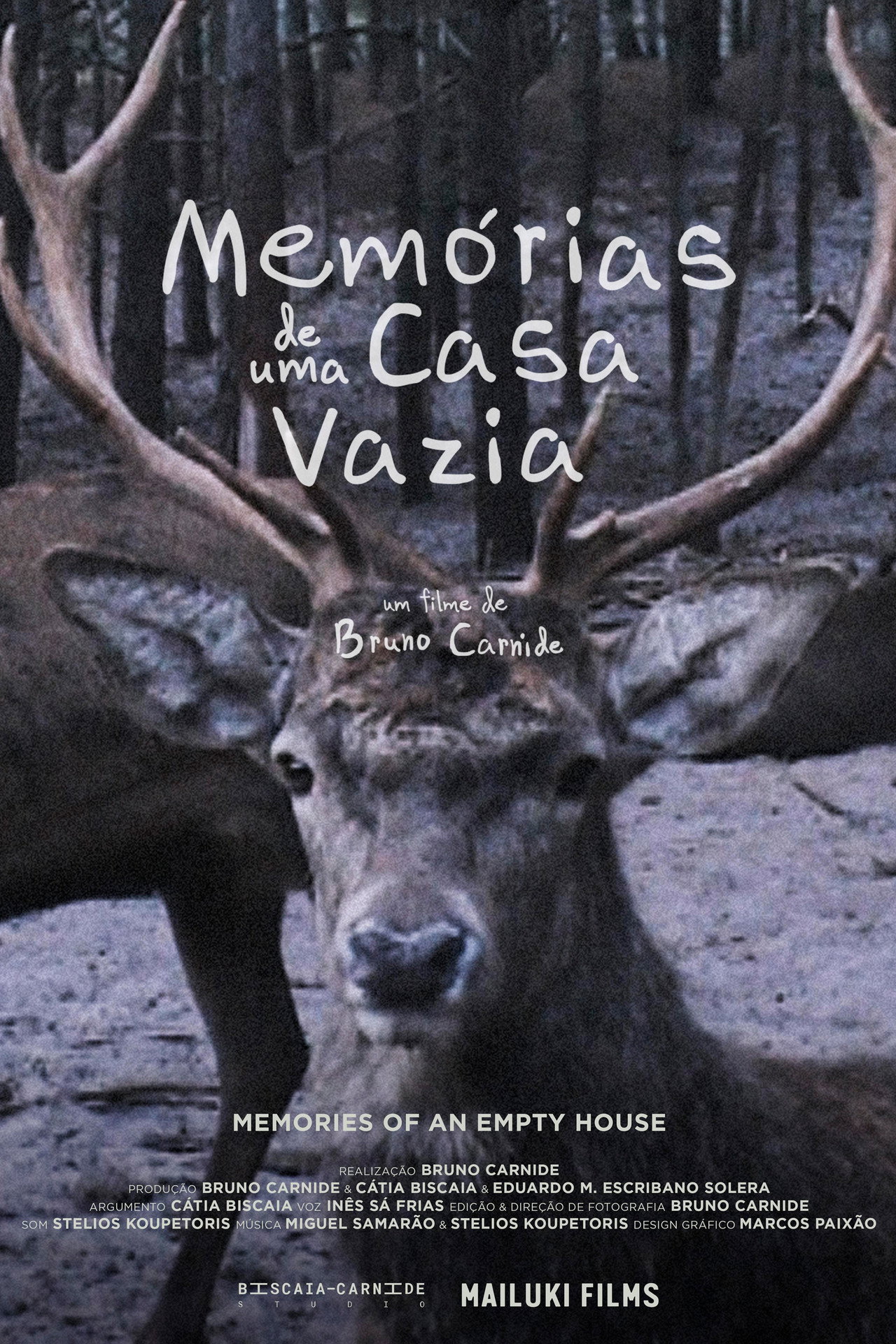 Memories of an Empty House Backdrop