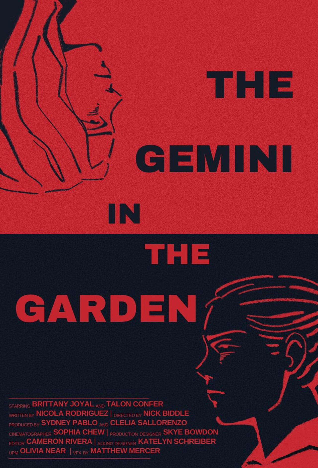 The Gemini in the Garden filmaffisch