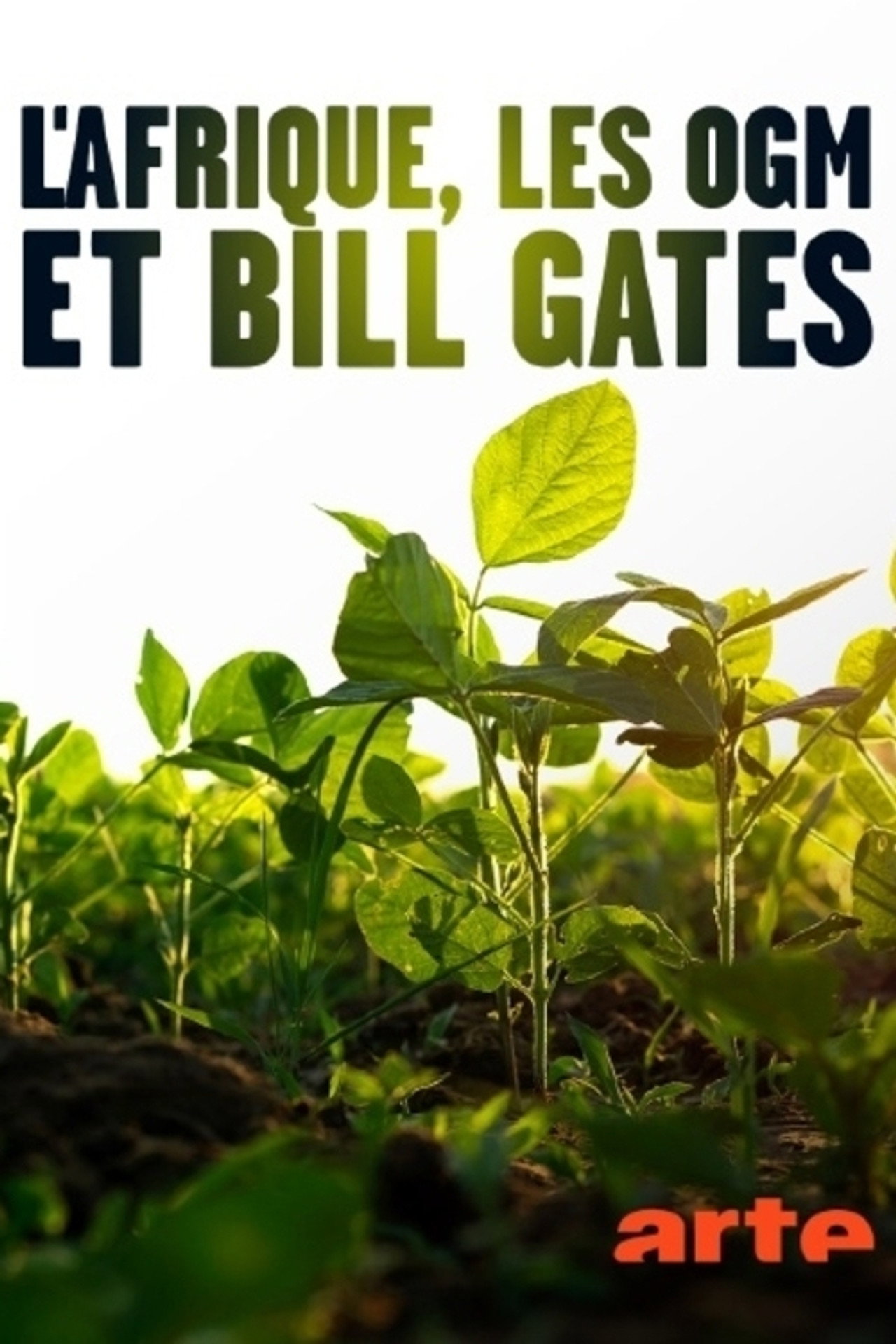 L’Afrique, les OGM et Bill Gates filmaffisch