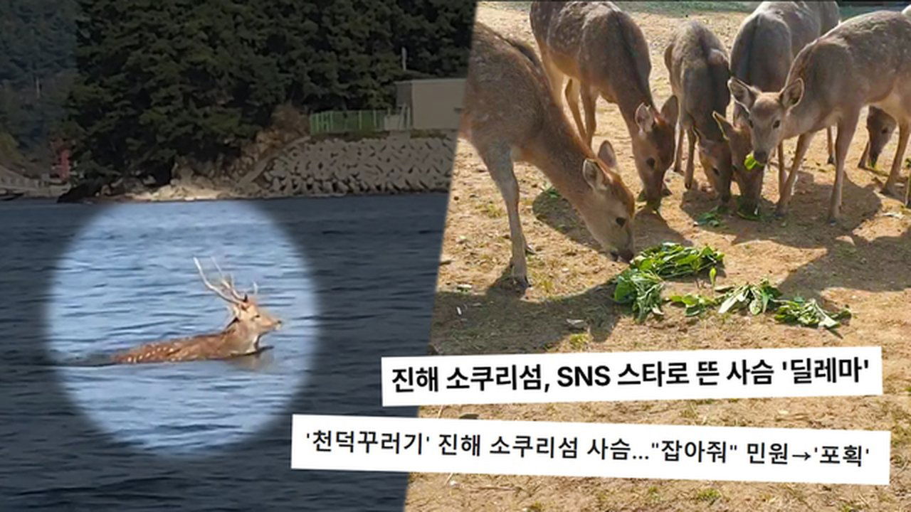 궁금한 이야기 Y - Season 1 Episode 732 : Episode 732