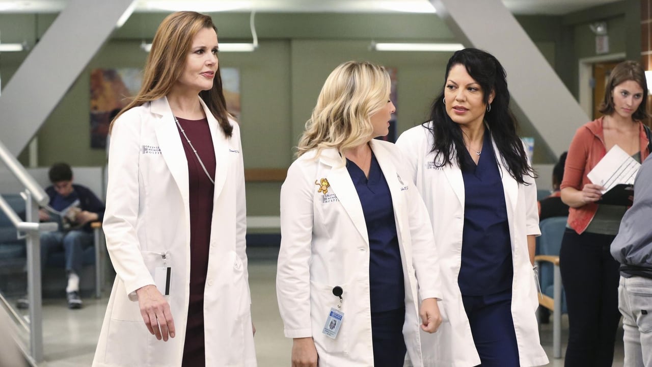 Grey's Anatomy - Season 11 Episode 1 : I Must Have Lost It on the Wind