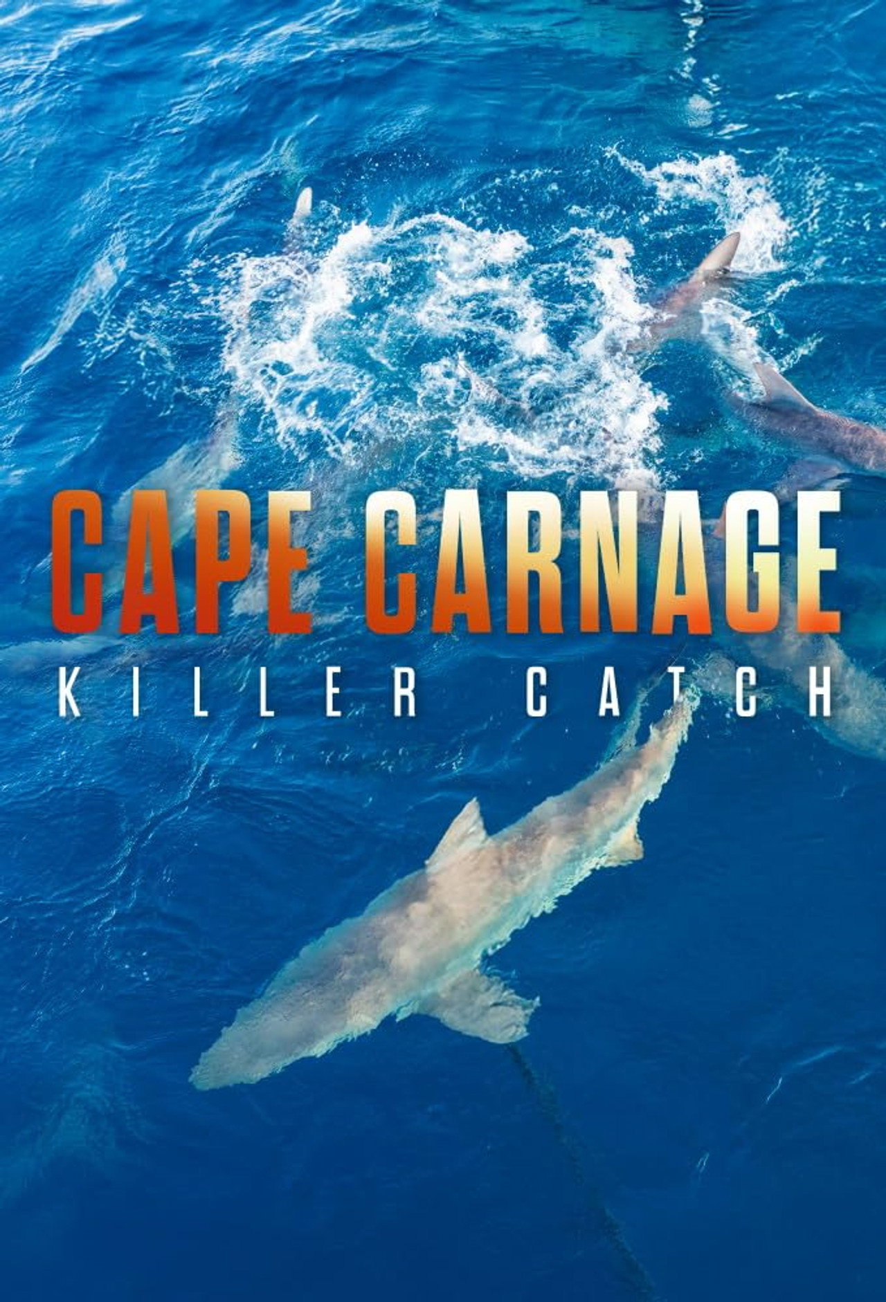 Cape Carnage: Veszélyes fogás – plakát 3