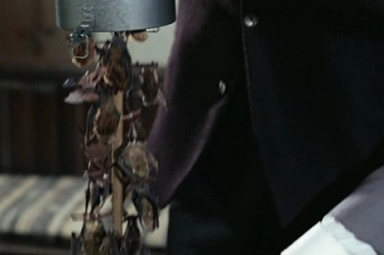 The Slave (1)