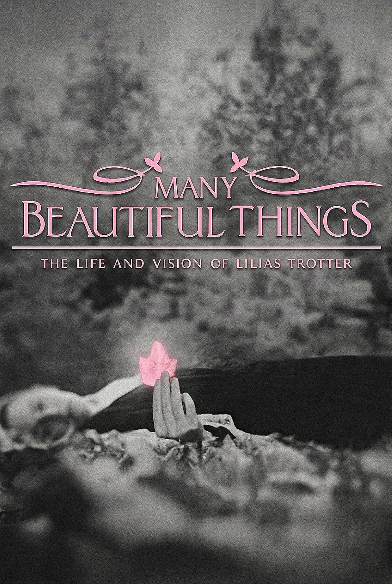 Many Beautiful Things poster