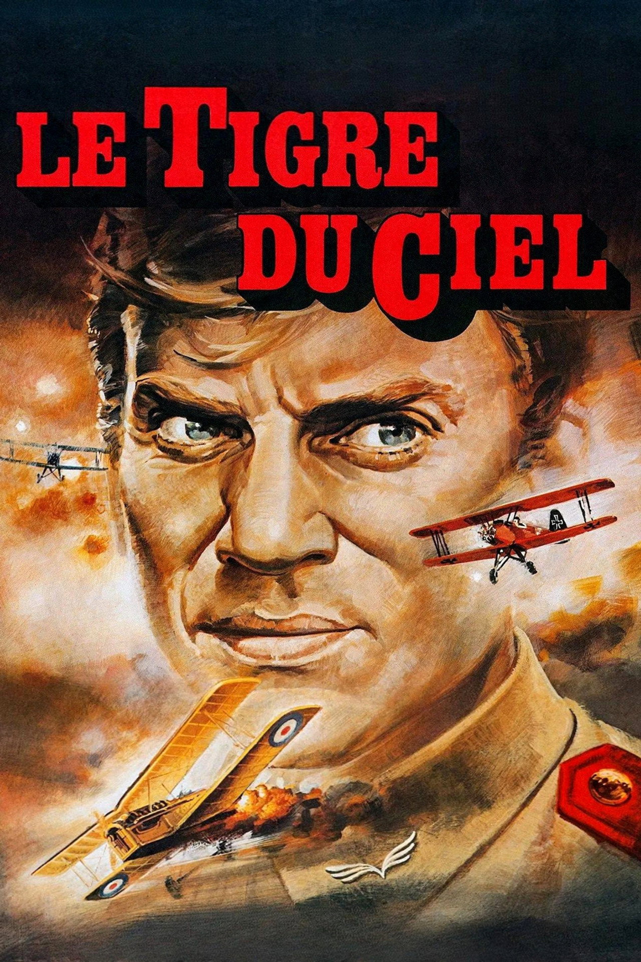 Le Tigre du ciel poster