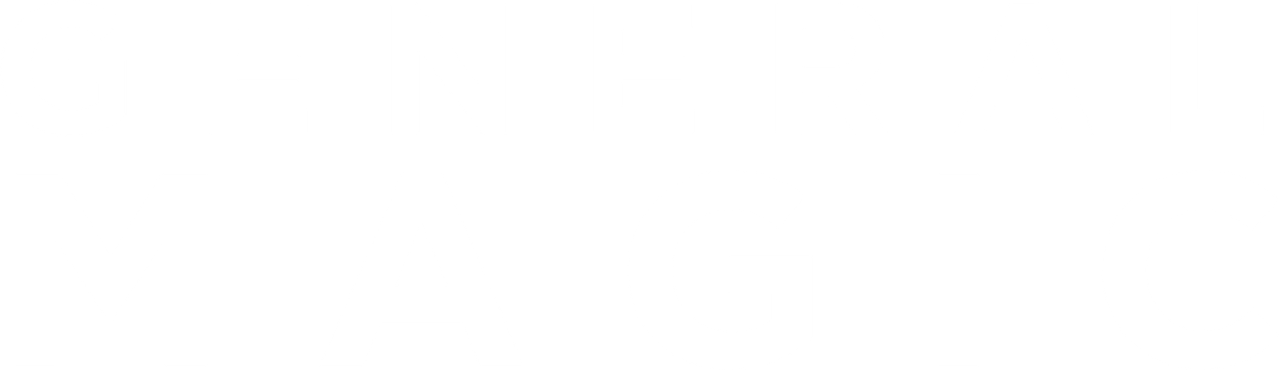 General Magic