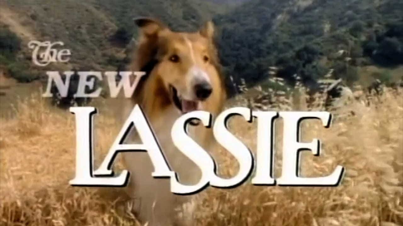 Cast and Crew of The New Lassie