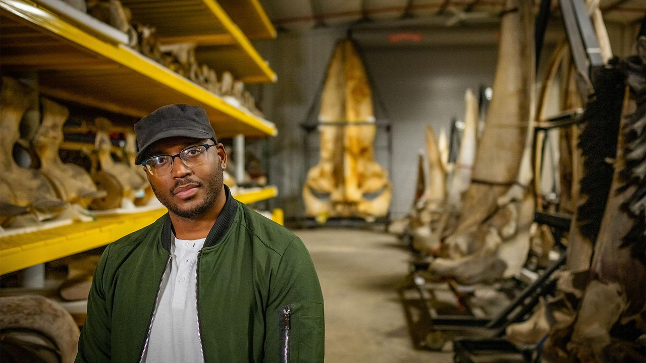 Human Footprint — Épisode 2