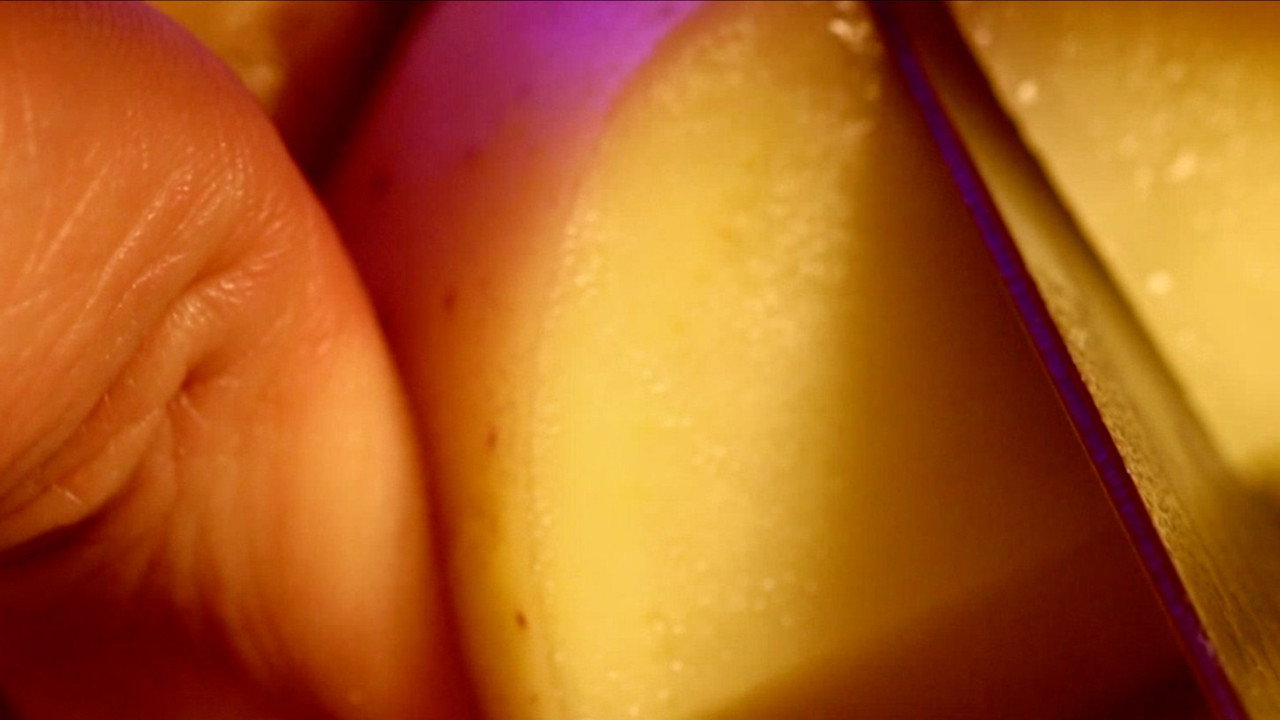 scenes 2
