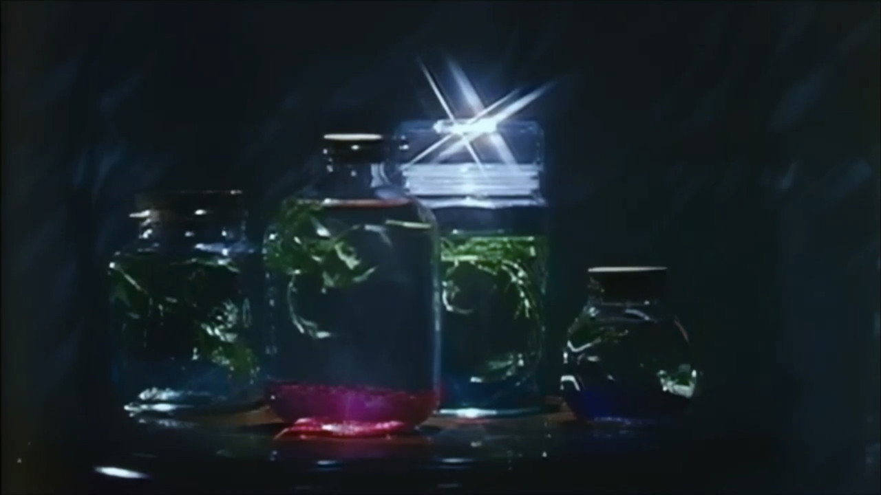 Gômon mizu-zeme still 11