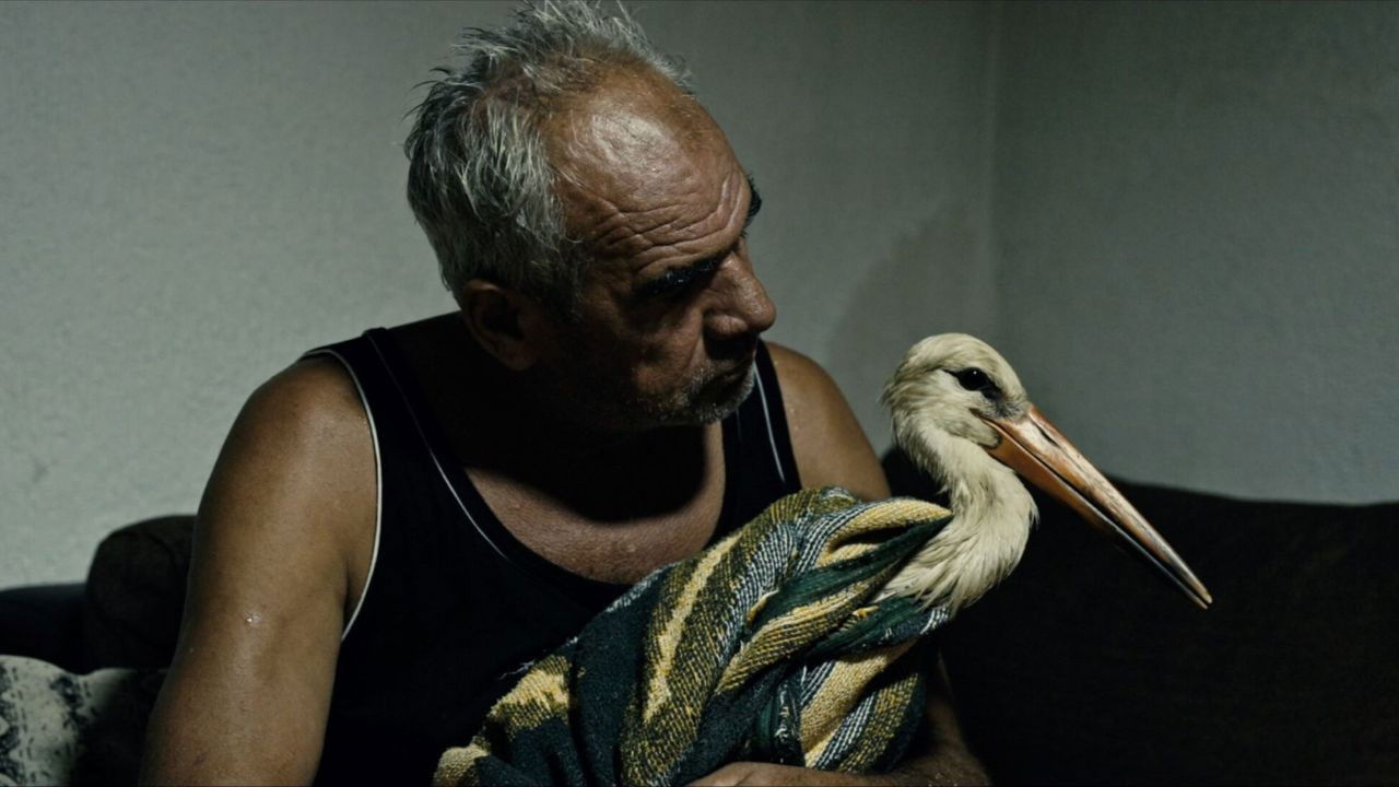 Силјан backdrop