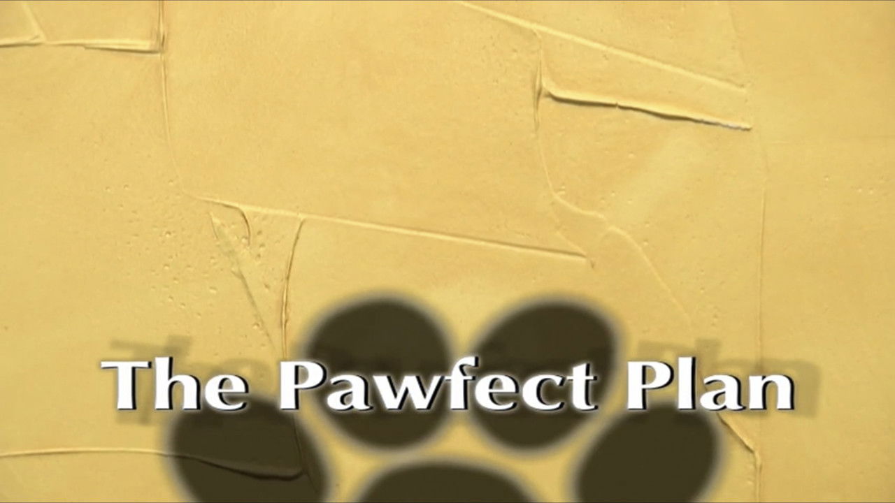 The Pawfect Plan