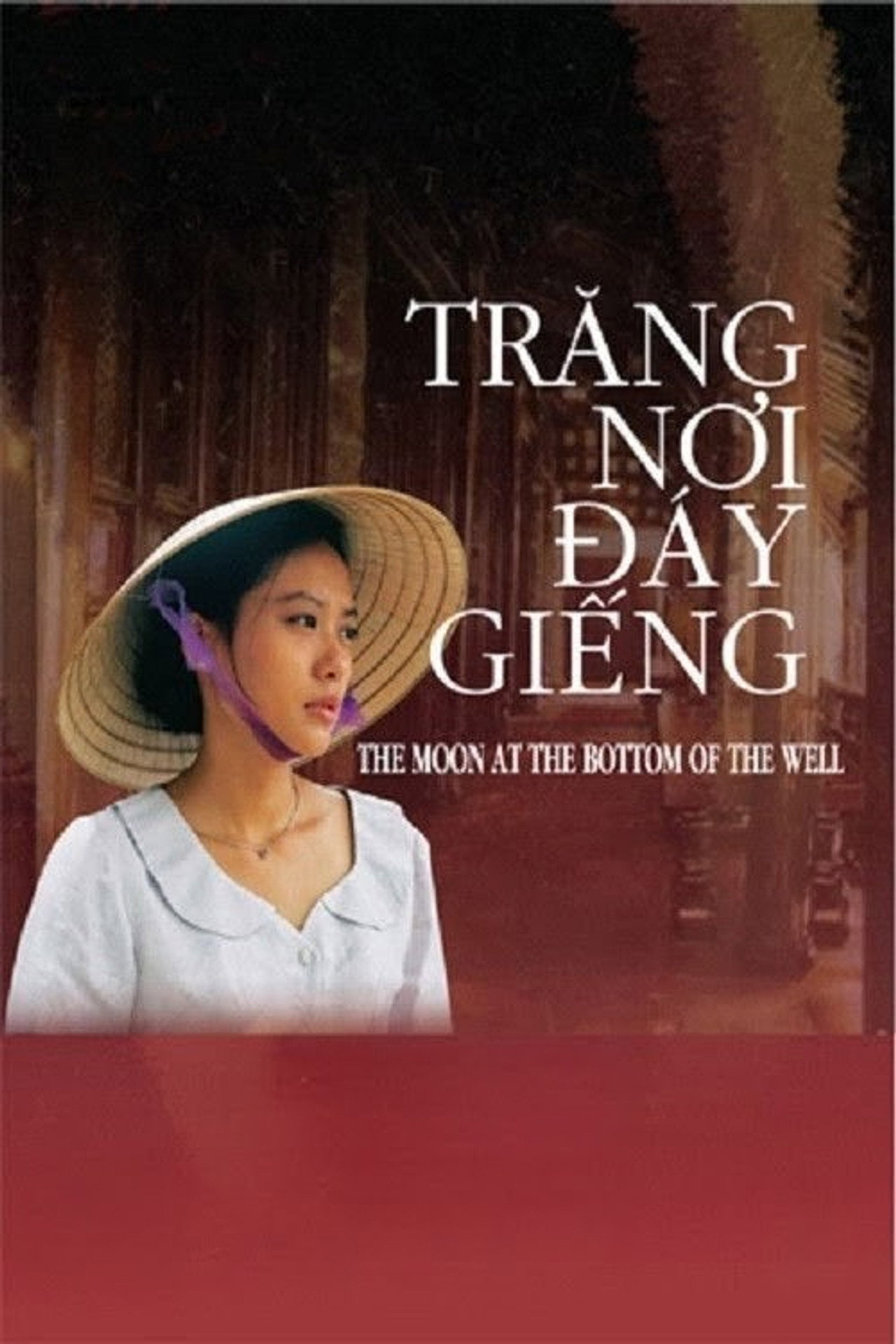 Trăng nơi đáy giếng filmaffisch