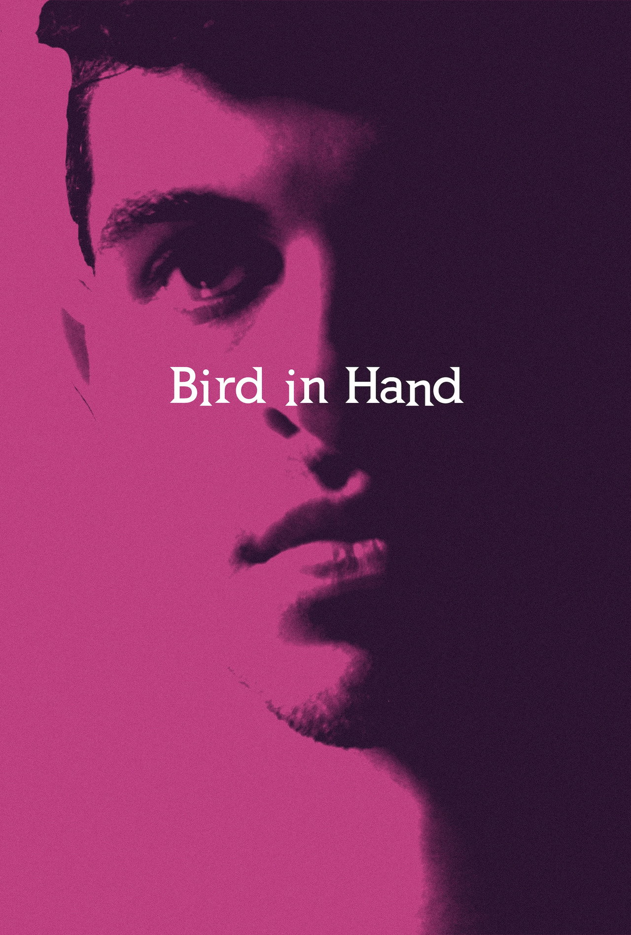 Bird in Hand filmaffisch