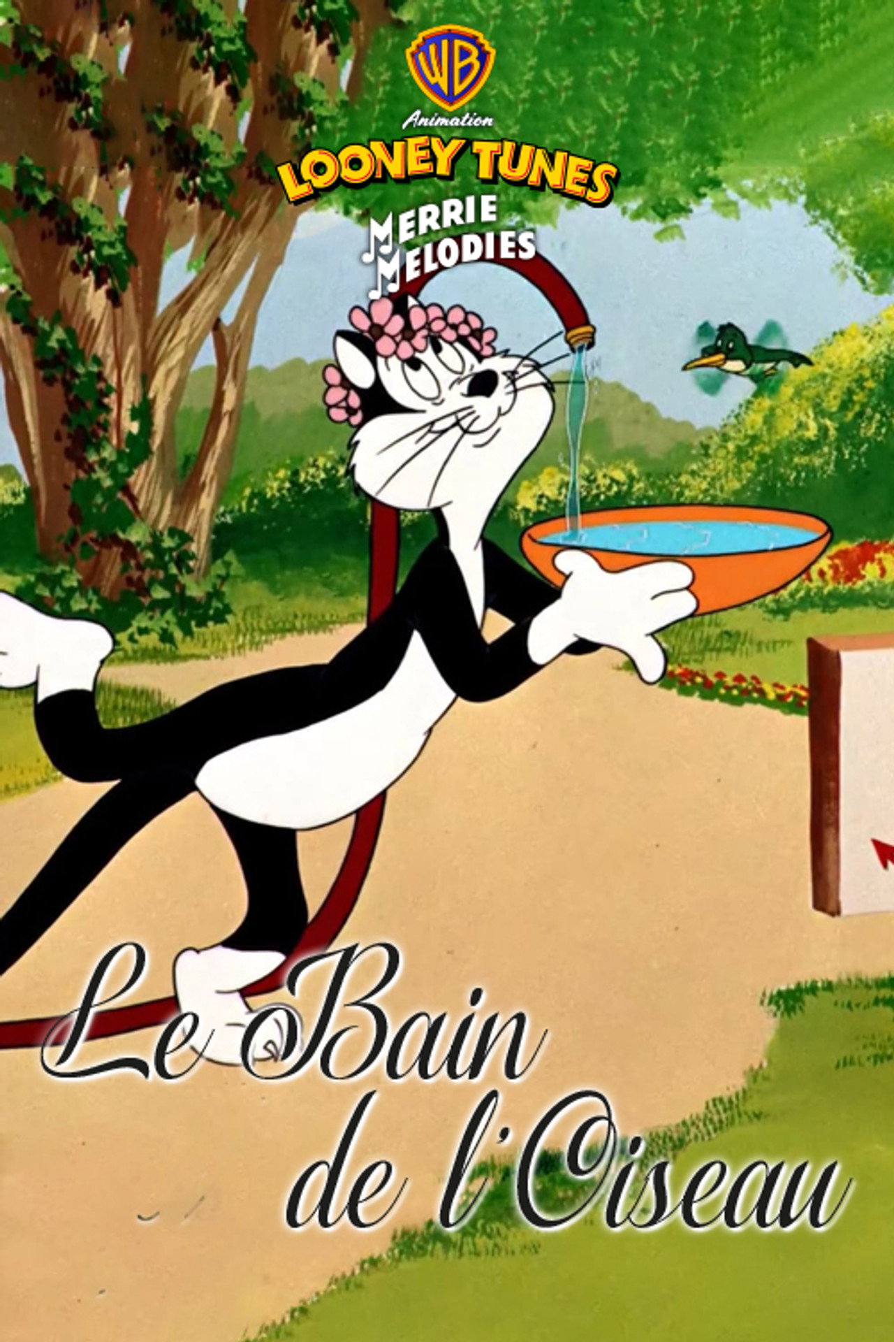 Le bain de l'oiseau
