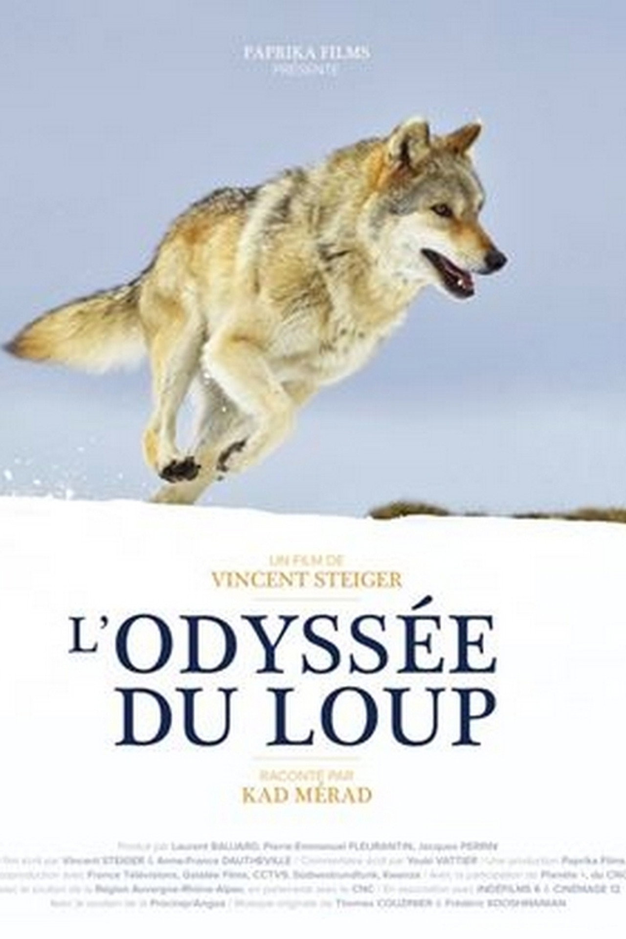 L'odyssée du loup : secrets de tournage filmaffisch