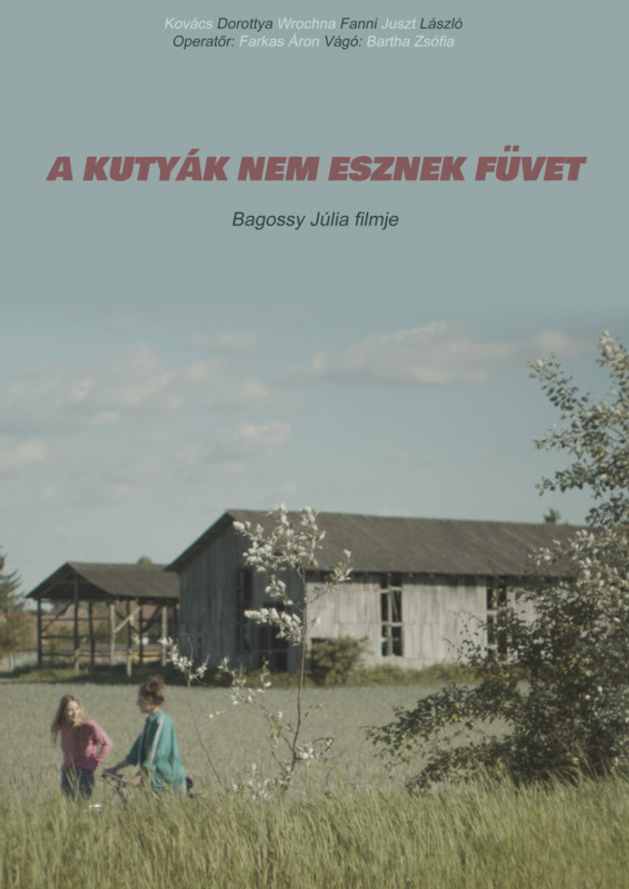 A kutyák nem esznek füvet filmaffisch