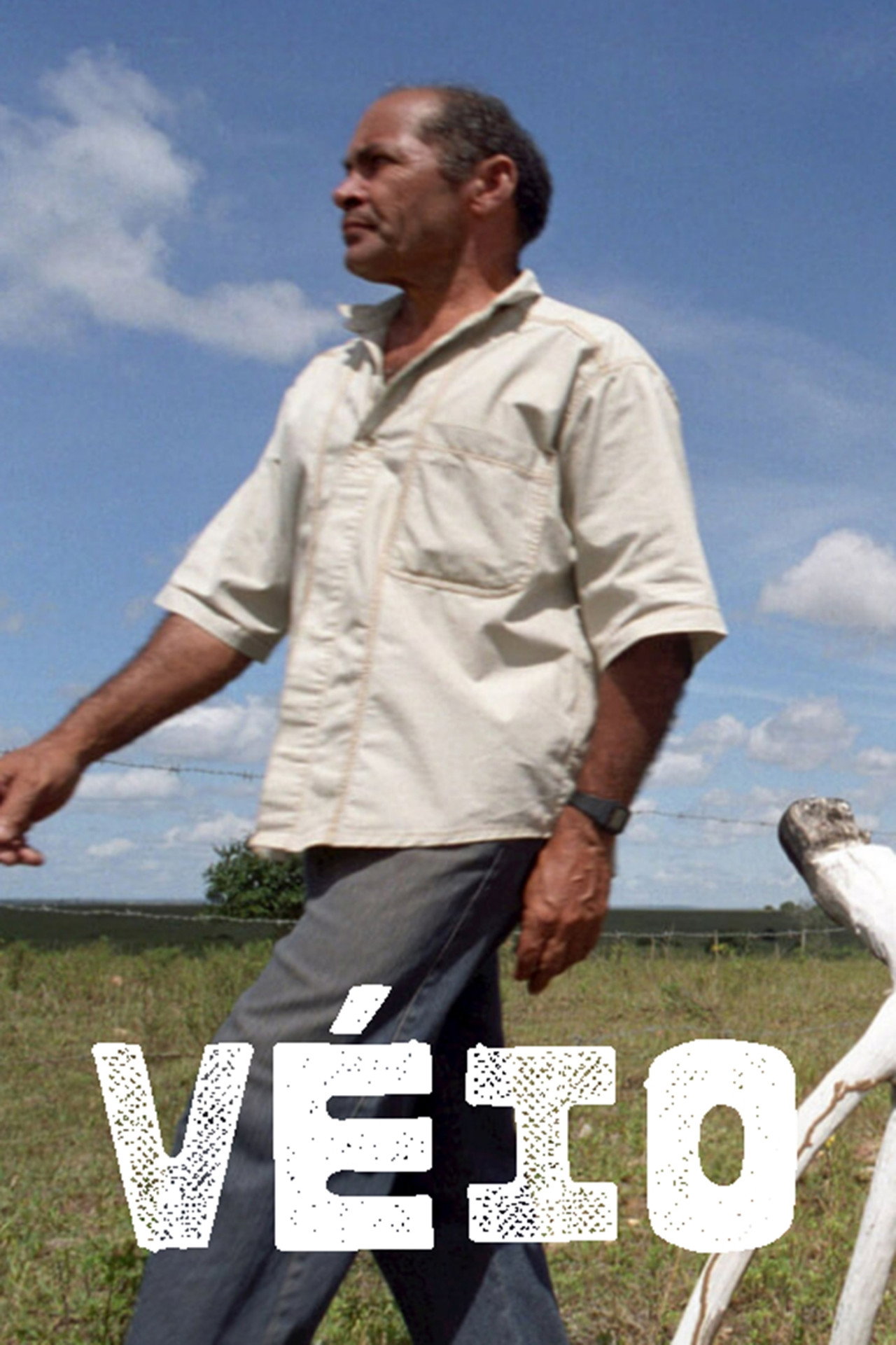 Véio filmaffisch