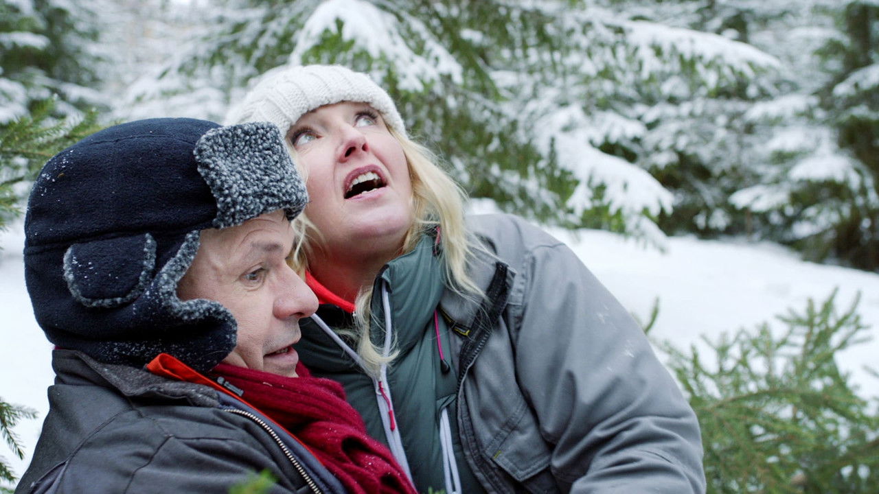 Aikuisen naisen joulukalenteri — Épisode 16