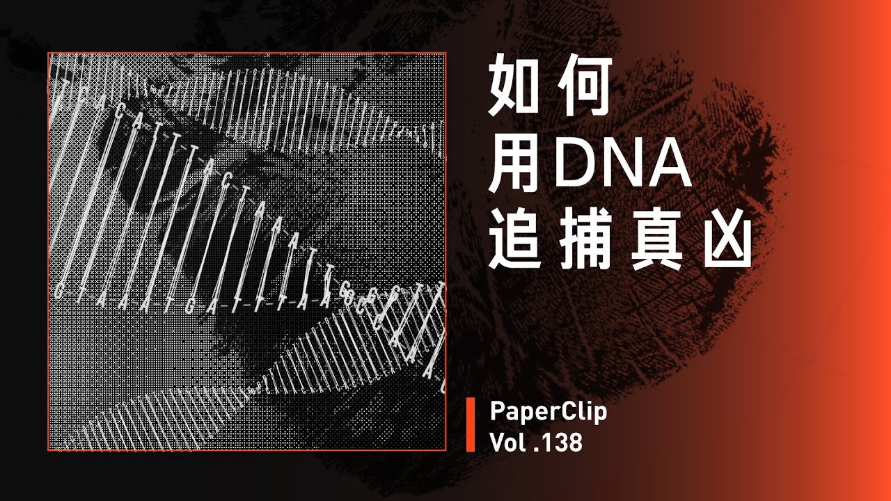 回形针PaperClip — Épisode 138