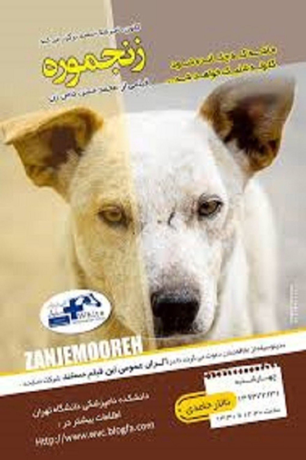 Zanjmoore (2012)