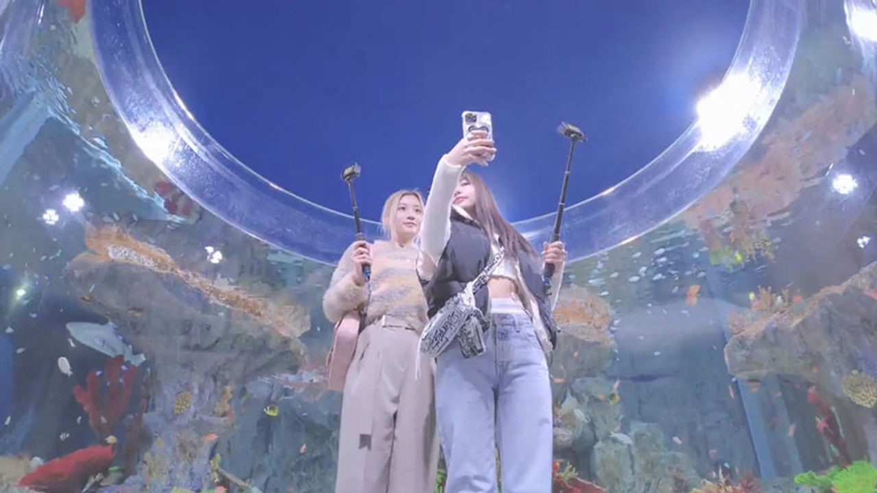 韓國留學Day Day晴 — Épisode 14