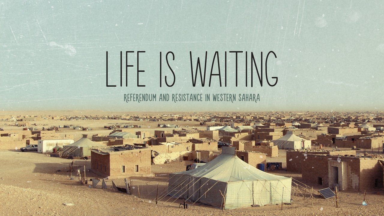 Life Is Waiting: Referendum and Resistance in Western Sahara background