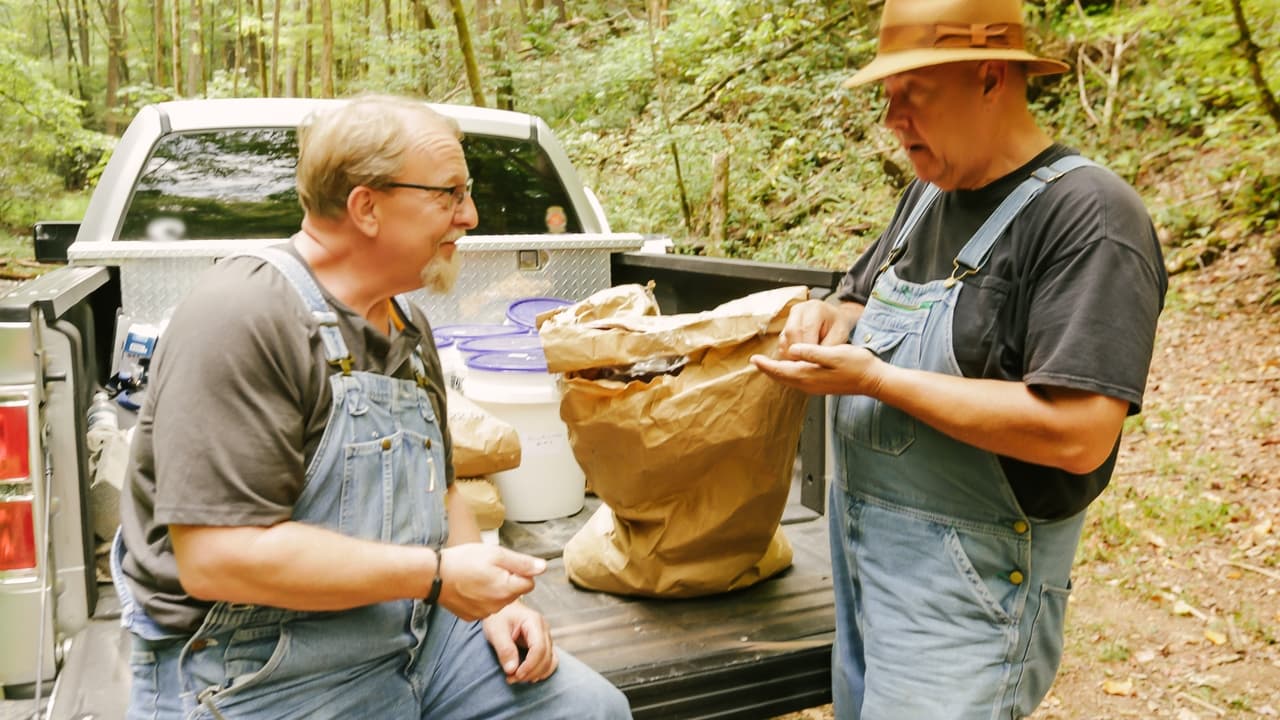 Moonshiners - Season 9 Episode 7 : Busted By The Law