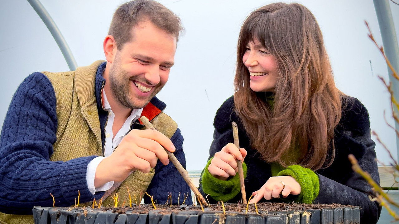 Antiques Road Trip - Season 31 Episode 12 : Fern Fever and Far East Finds