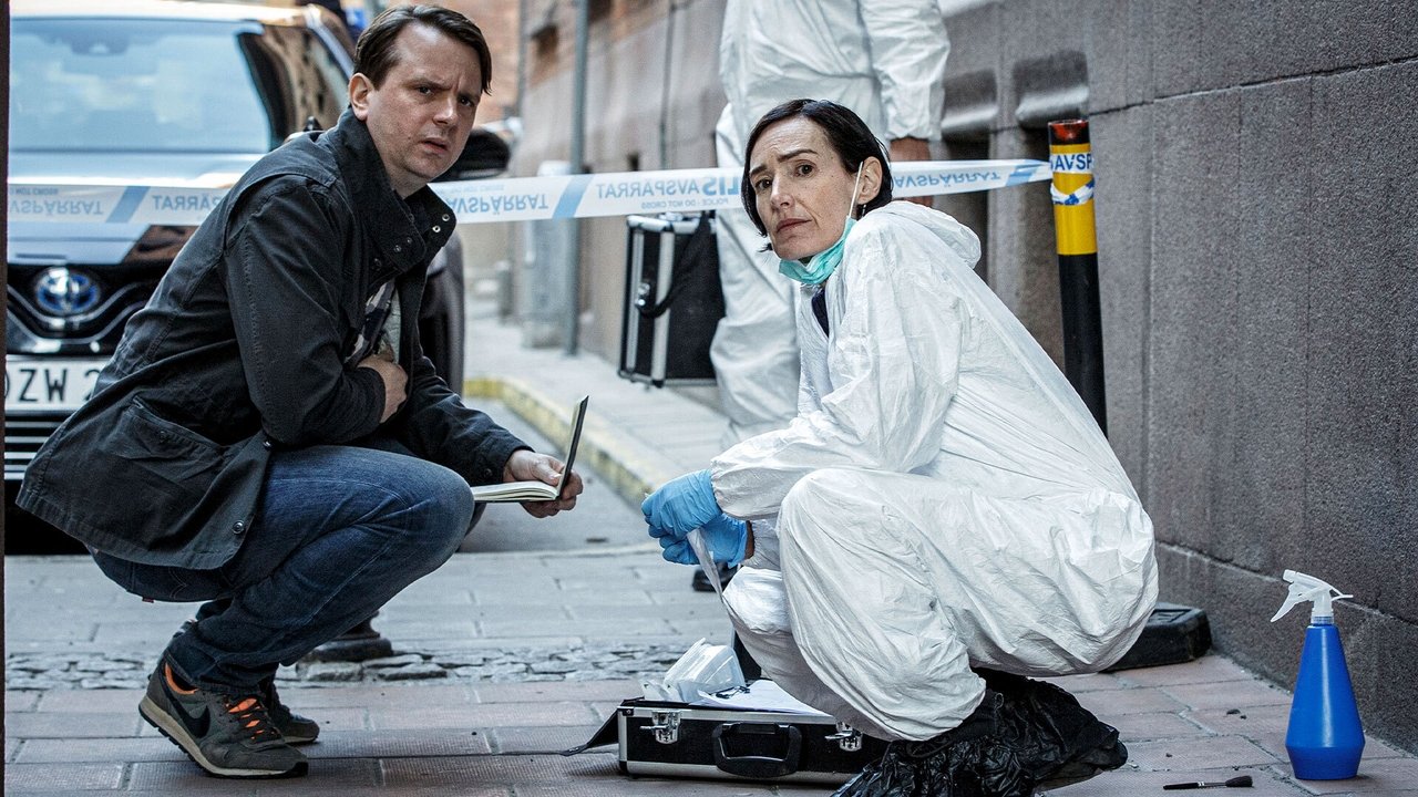Beck - Season 7 Episode 3 : Death in Samarra