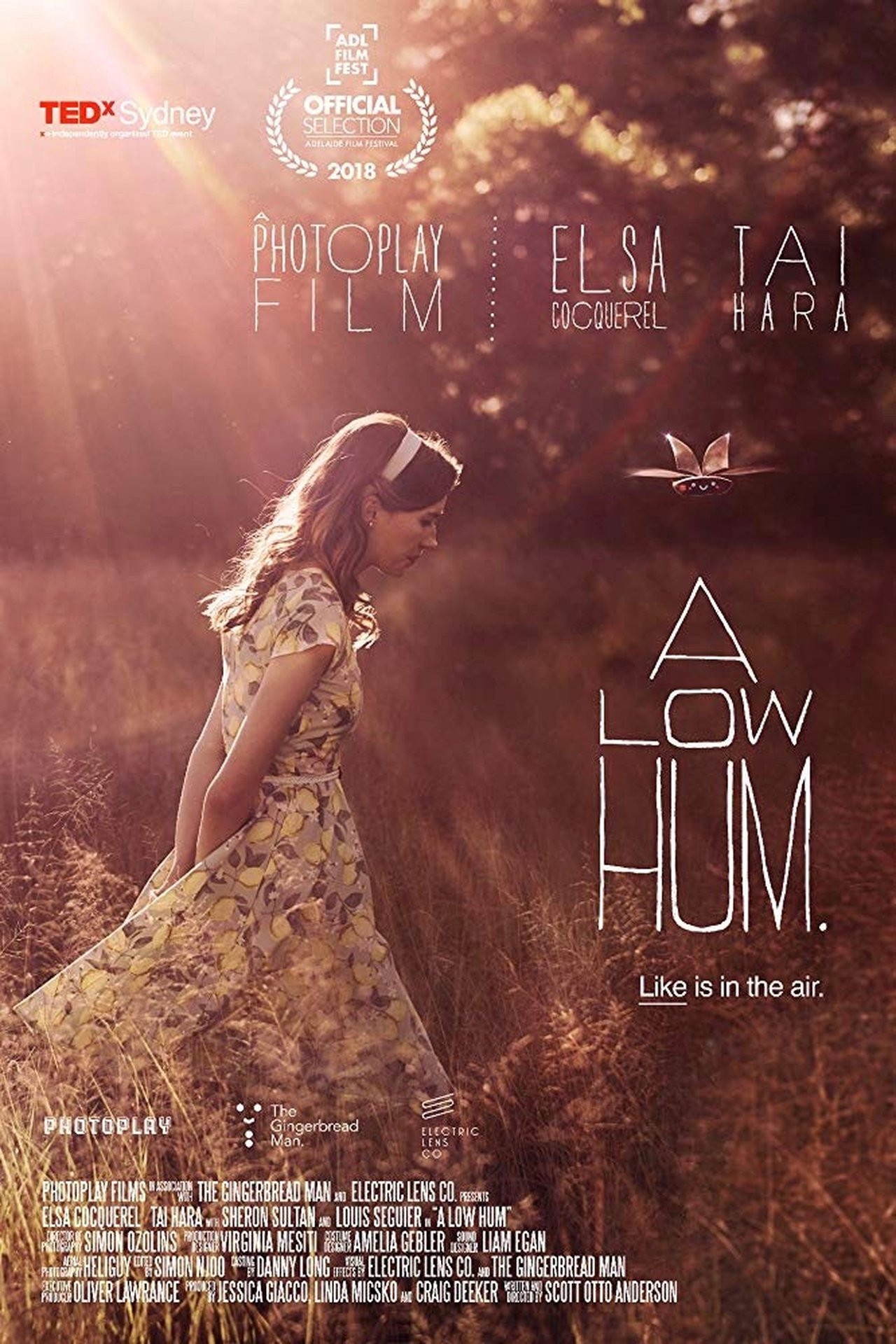 A Low Hum A Low Hum
